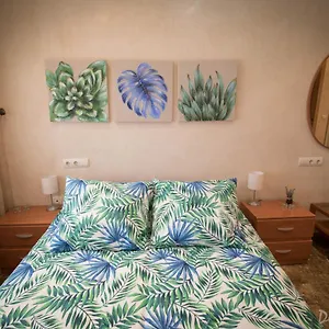  Apartamento Espacioso Bajo Frente Al Mar